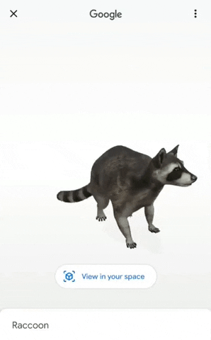El buscador de Google ofrece animales en realidad aumentada para poner en  tus vídeos