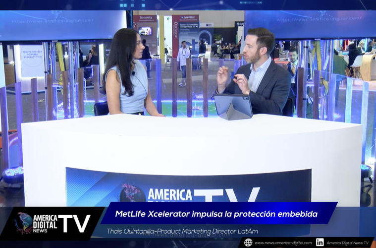 protección embebida